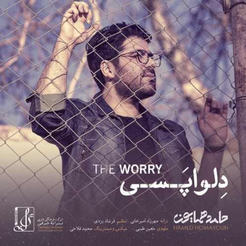 حامد همایون دلواپسی