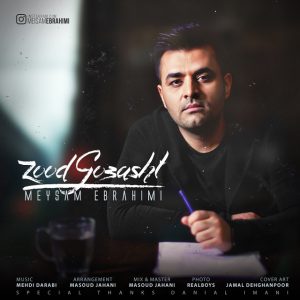 دانلود آهنگ جدید میثم ابراهیمی زود گذشت