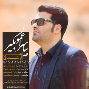 دانلود آهنگ جدید علی ارشدی بیا سراغمو بگیر