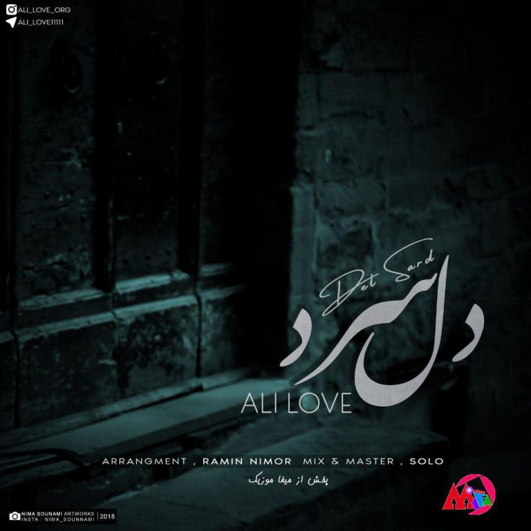 دانلود آهنگ جدید علی لاو دل سرد