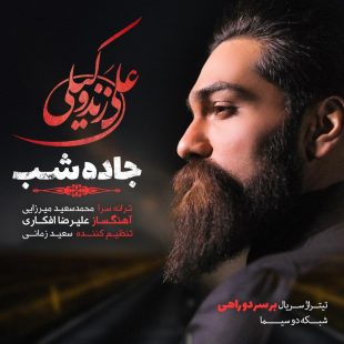 دانلود آهنگ جدید علی زند وکیلی جاده شب