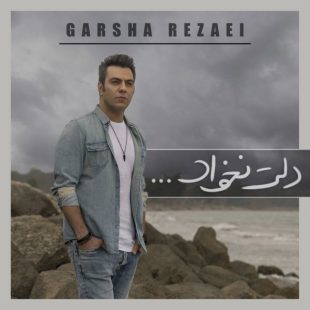 دانلود آهنگ جدید گرشا رضایی دلت نخواد