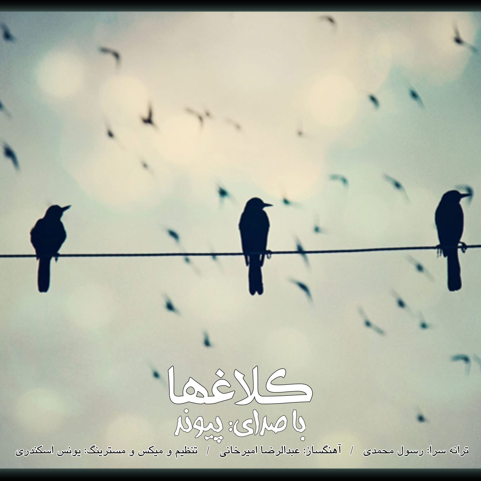 دانلود آهنگ جدید پیوند کلاغها