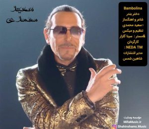 دانلود آهنگ جدید سعید کرمانی سلامتی