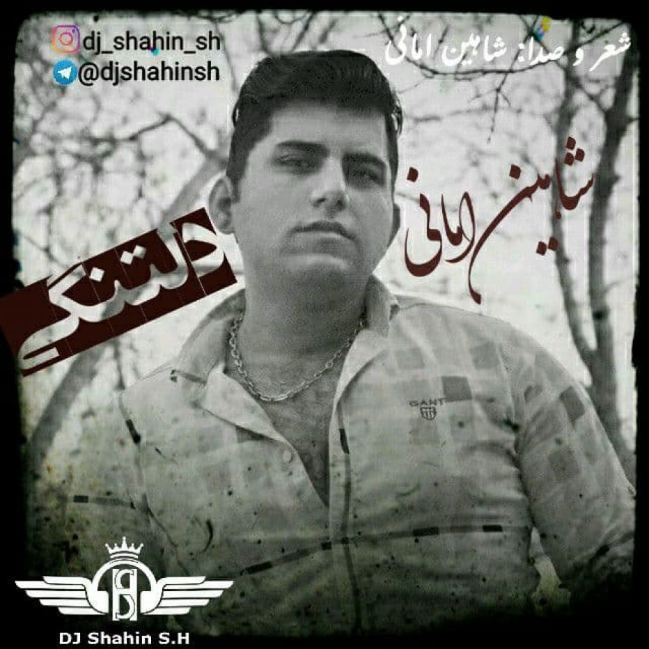 دانلود دکلمه جدید شاهین اس اچ دلتنگی (شاهین امانی)