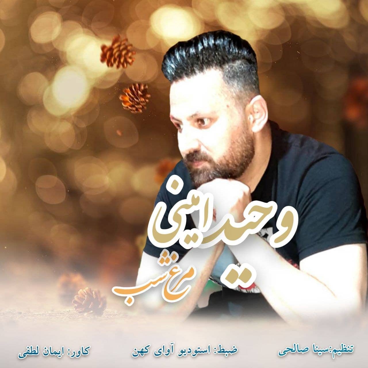 وحید امینی مرغ شب ( نوستالژی )