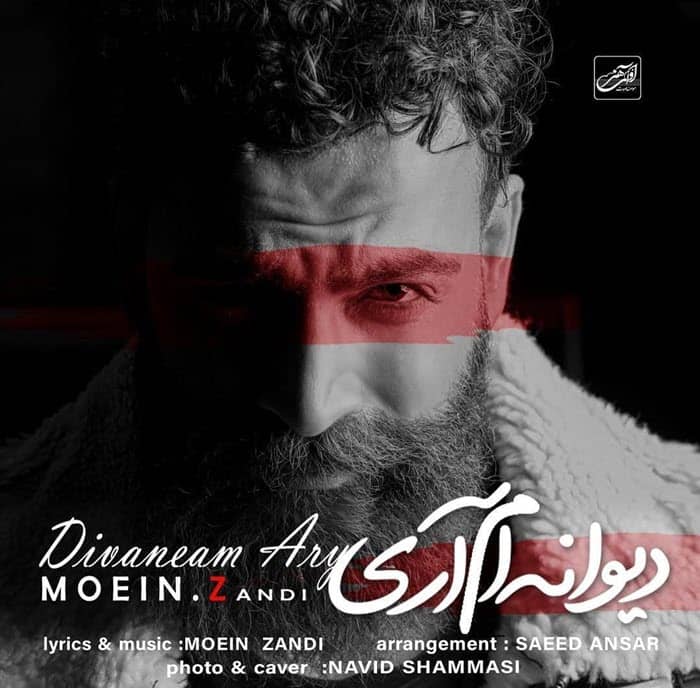 معین زندی دیوانه ام آری