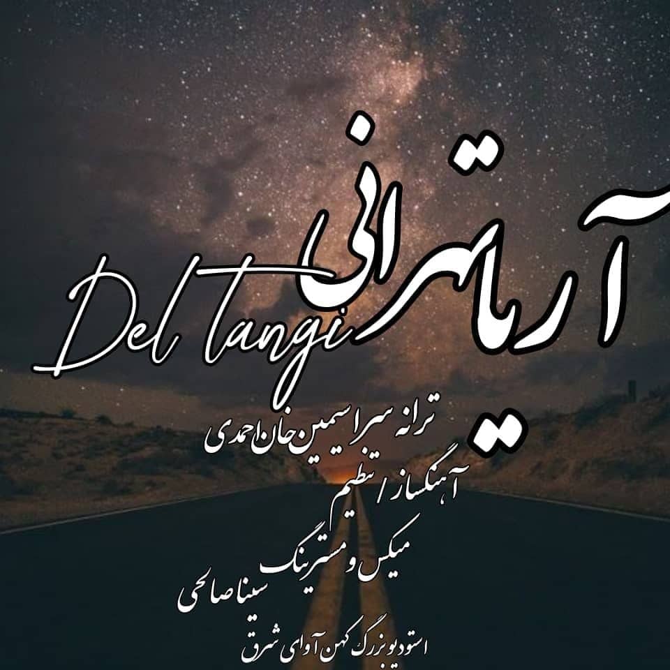 آریا تهرانی دلتنگی