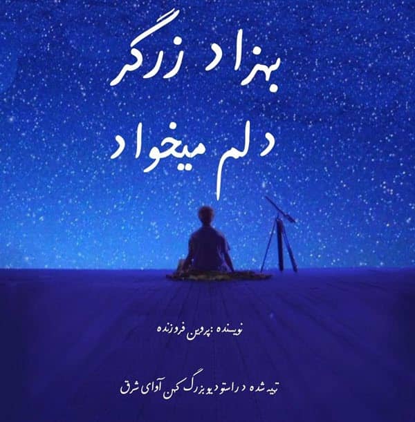 بهزاد زرگر دلم میخواد ( دکلمه )