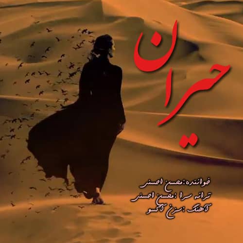 محسن احسنی حیران