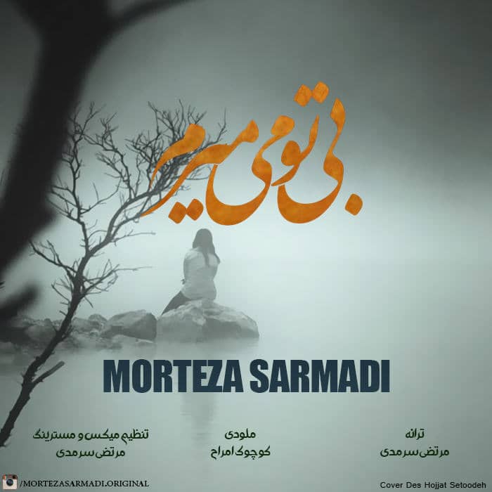 دانلود آهنگ جدید مرتضی سمردی بی تو میمیرم