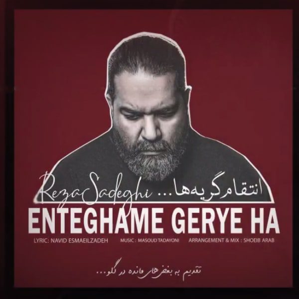 رضا صادقی انتقام گریه ها