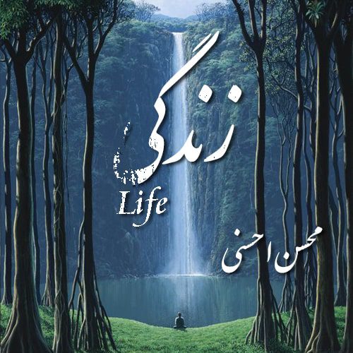 محسن احسنی زندگی