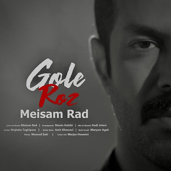 میثم راد گل رز