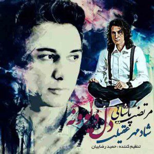مرتضی پاشایی و شادمهر عقیلی دل دیونه