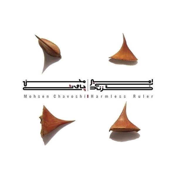 آلبوم  امیر بی گزند