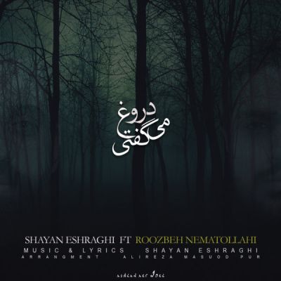 روزبه نعمت الهی دروغ میگفتی