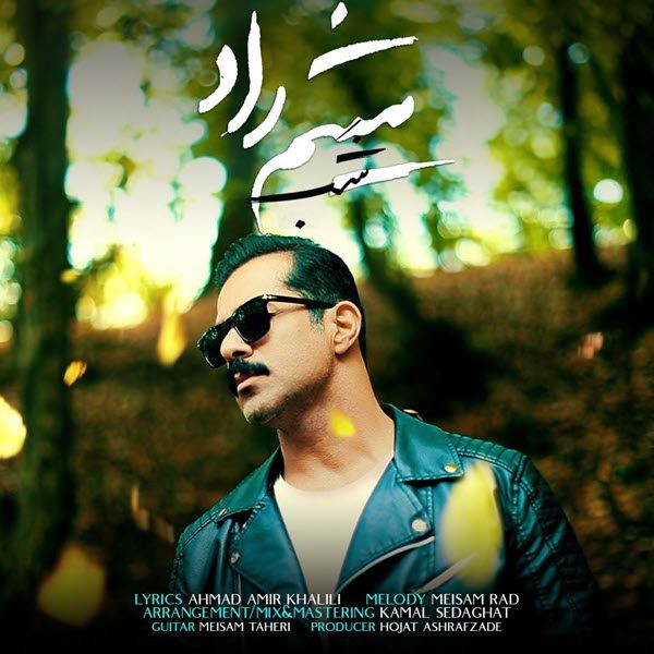 میثم راد شب