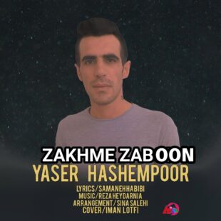 یاسر هاشم پور زخم زبون