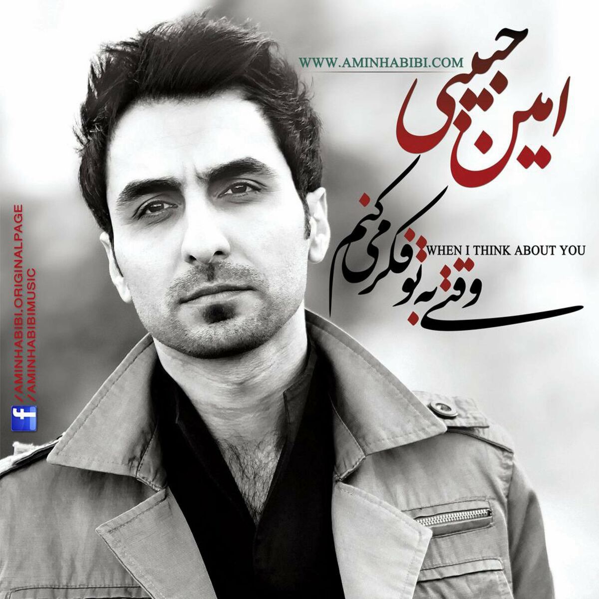 امین حبیبی