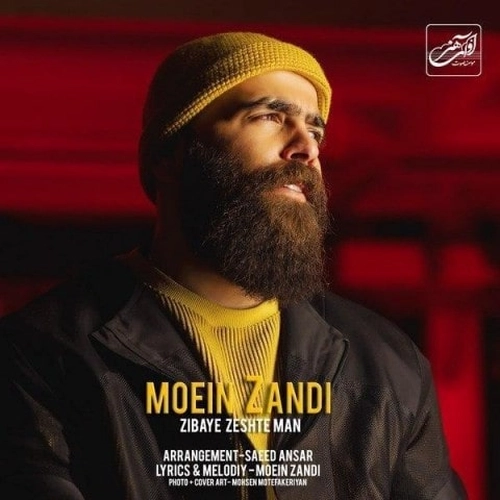 معین زندی
