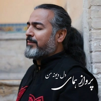 آهنگ جدید پرواز همای دل دیوانه من