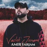 امیر فرجام وصله جونمی