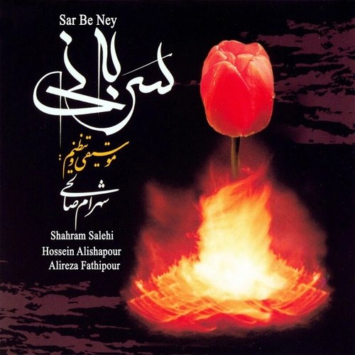 شهرام صالحی