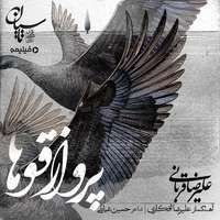 علیرضا قربانی- پرواز قوها