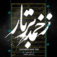 آلبوم کاوه صالحی - زخمه بر تار