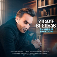 شهرام شکوهی - زیبای بی احساس