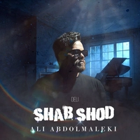 علی عبدالمنالکی - شب شد ( دلی )