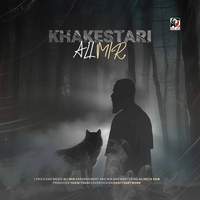 علی میر - خاکستری