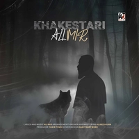 علی میر - خاکستری