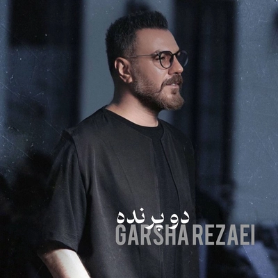 گرشا رضایی - دو پرنده