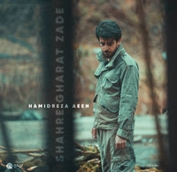حمید رضا آیین - شهر غارت زده