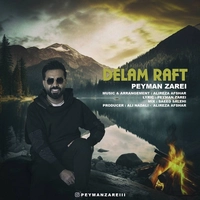 پیمان زارعی - دلم رفت