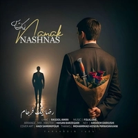 رضا نیک فرجام - نمک نشناس