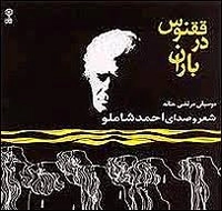 آلبوم احمد شاملو - ققنوس در باران
