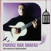 آلبوم احمد رضا نبی زاده - پرواز در قفس