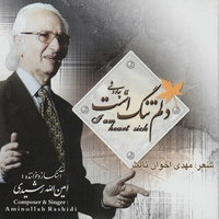 آلبوم امین اله رشیدی - دلم تنگ است