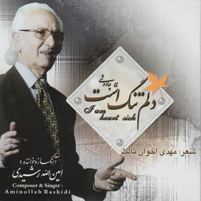 آلبوم امین اله رشیدی - دلم تنگ است