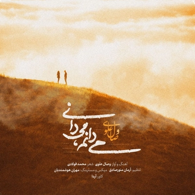 وصال علوی - میدانم میدانی