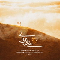 وصال علوی - میدانم میدانی