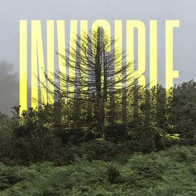 آلبوم اولافور آرنالدز - The Invisible EP