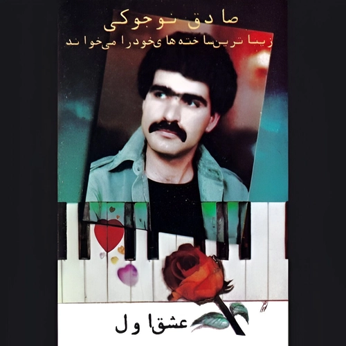 صادق نوجوکی