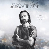 سینا سرلک - آغوش سرد