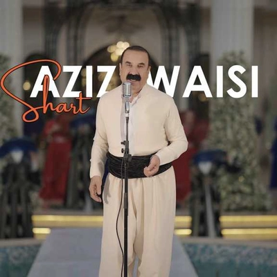 عزیز ویسی شرط