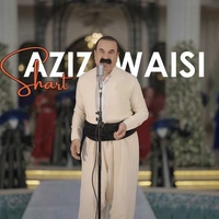 عزیز ویسی شرط