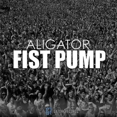 آلبوم دیجی علی گیتور Fist Pump